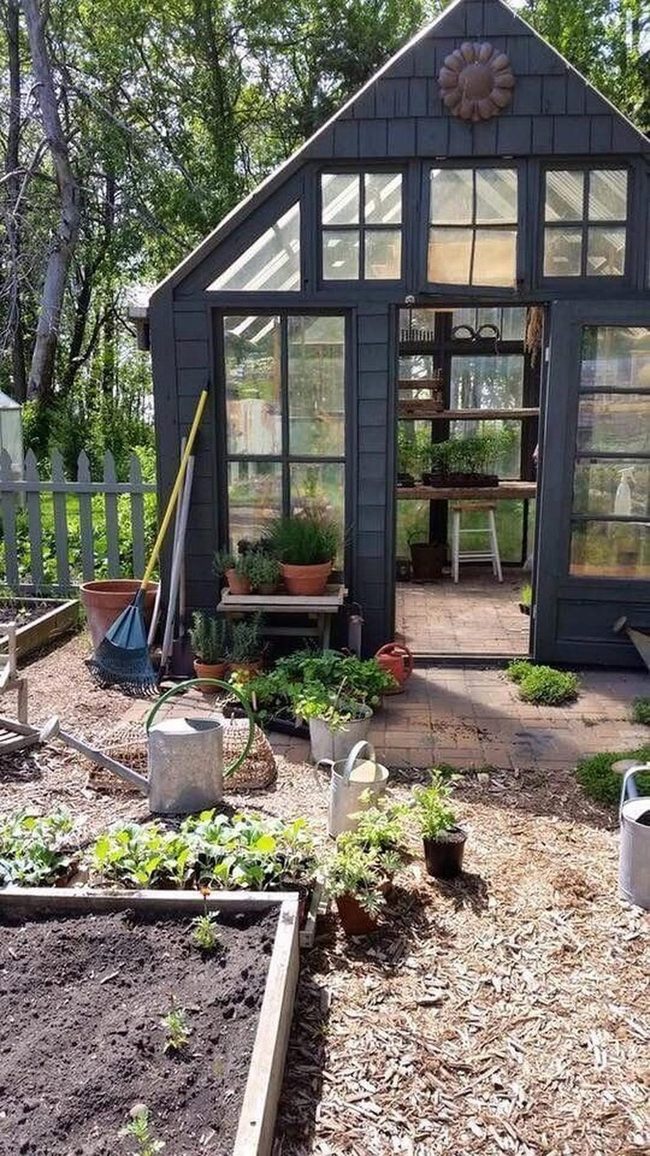 Glass Panels And Lush Green