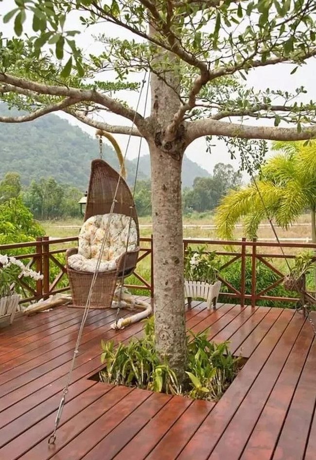Trees Through Wooden Deck Space