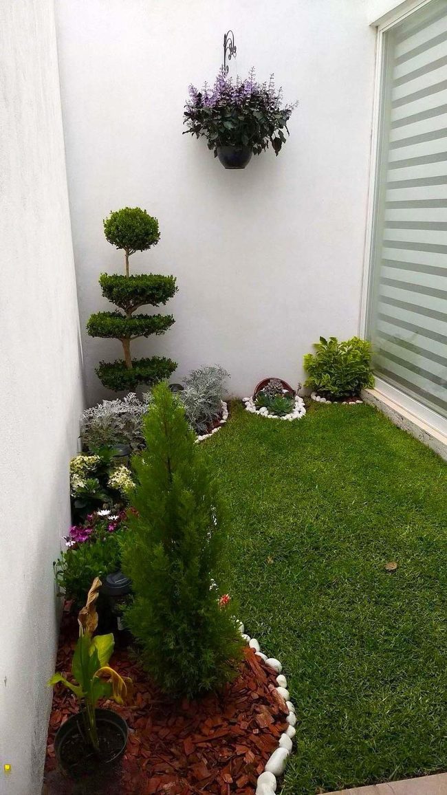 White Wall Evergreen Garden Retreat