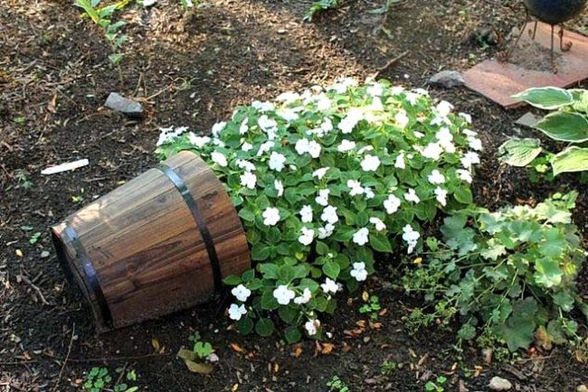 Overflowing Buckets With Colorful Blooms