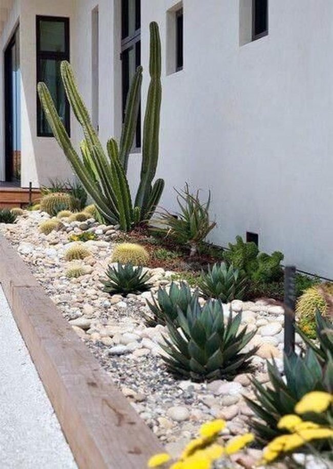 Succulent Garden With Gravel Pathways