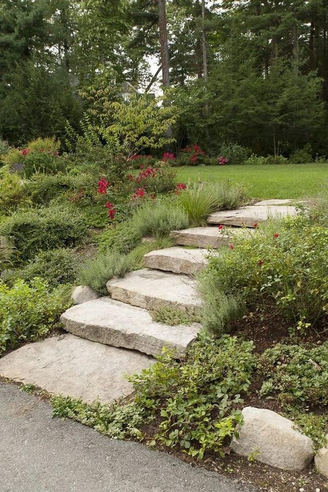 Red Blooms Wind Through Stone Paths