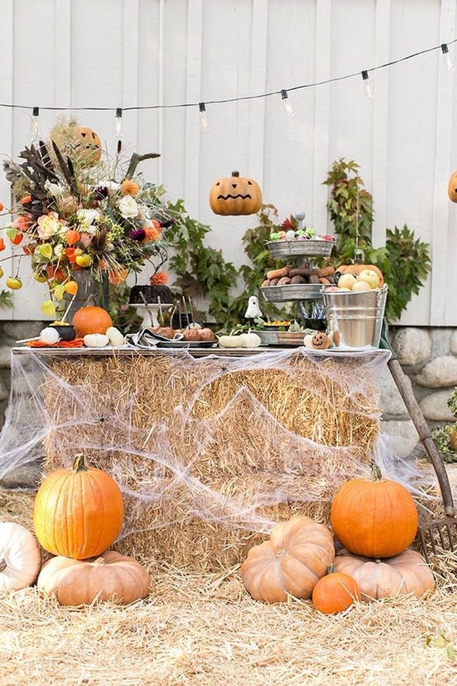 Pumpkin Patch With Glowing String Lights