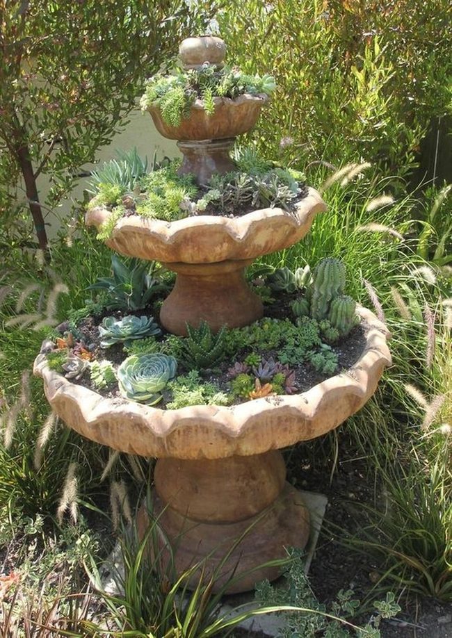 Cascading Succulents On Stone Tiers