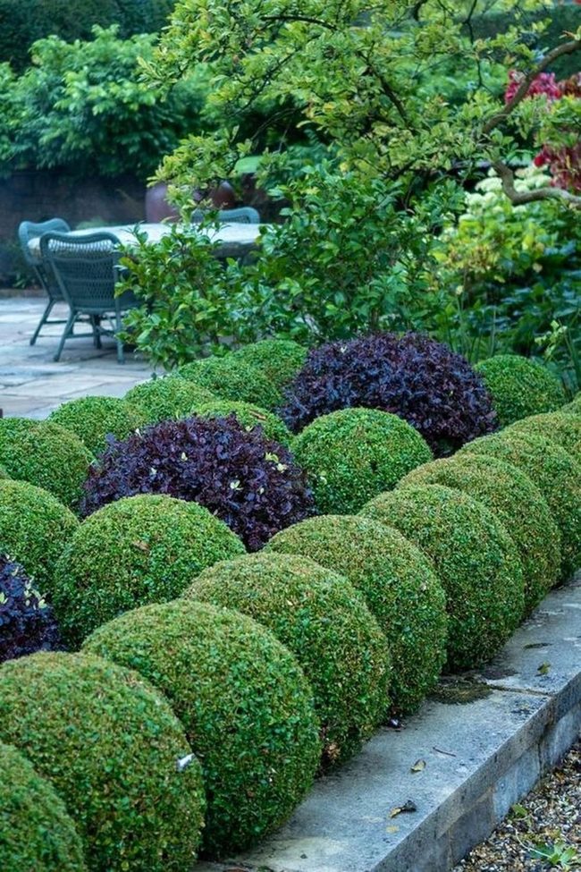 Curved Stone Pathways Through Layered Purple Foliage
