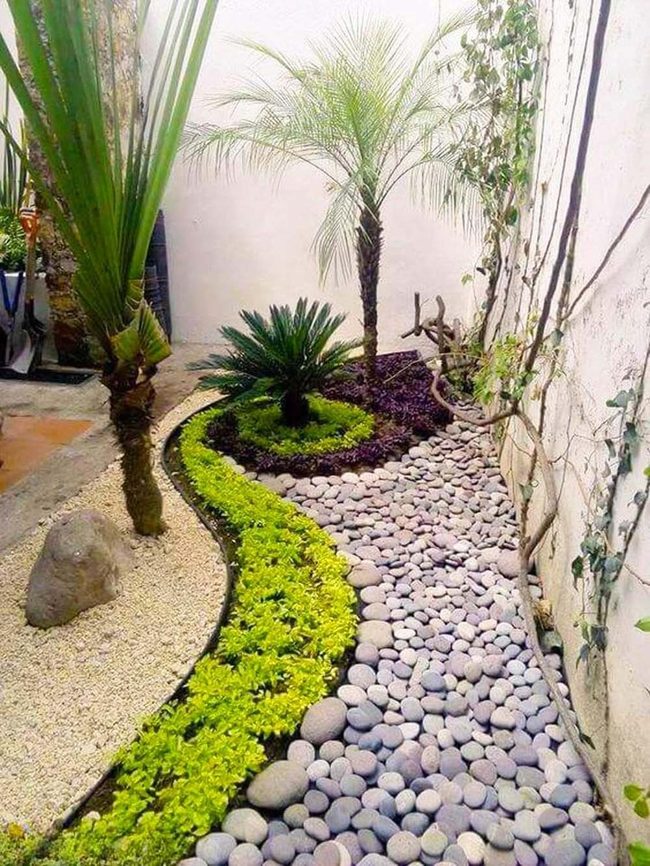 Smooth Stones And Tropical Palms
