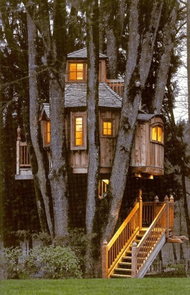 Yellow-Lit Wooden Treehouse Among Trees