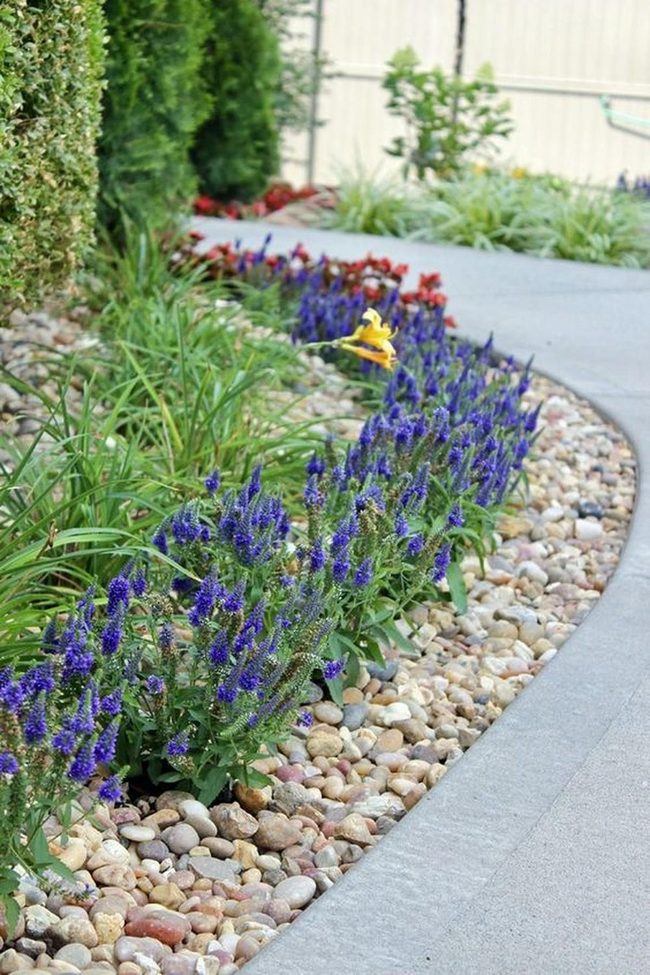 Purple Flowers Line Curved Garden Path