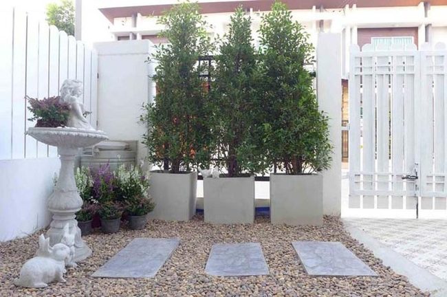 Green Height And Gravel Pathways