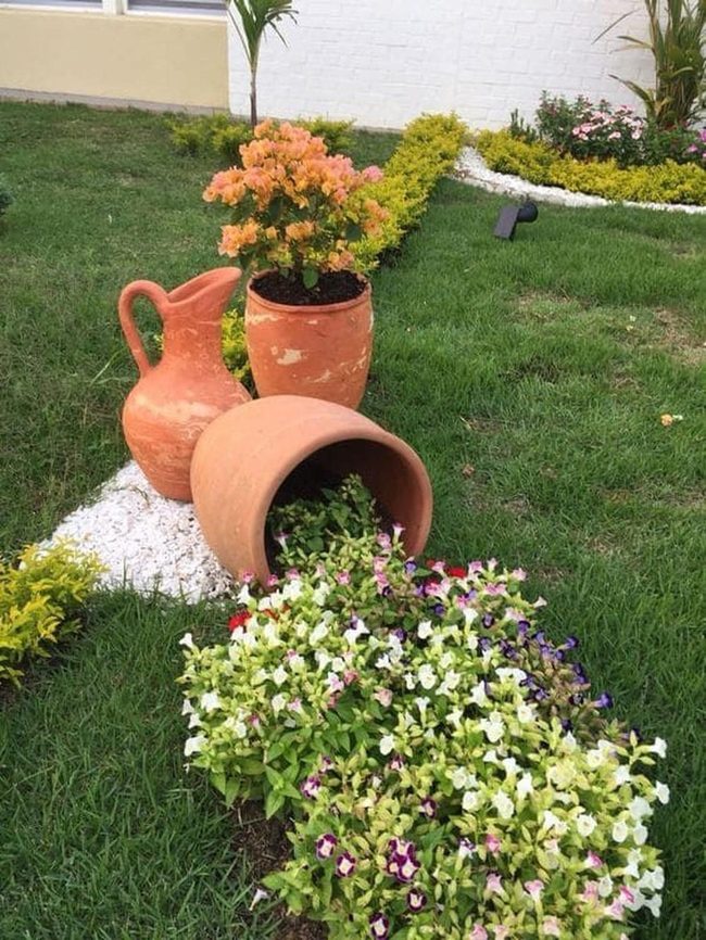 Terracotta Pots, Colorful Blooms Overflowing