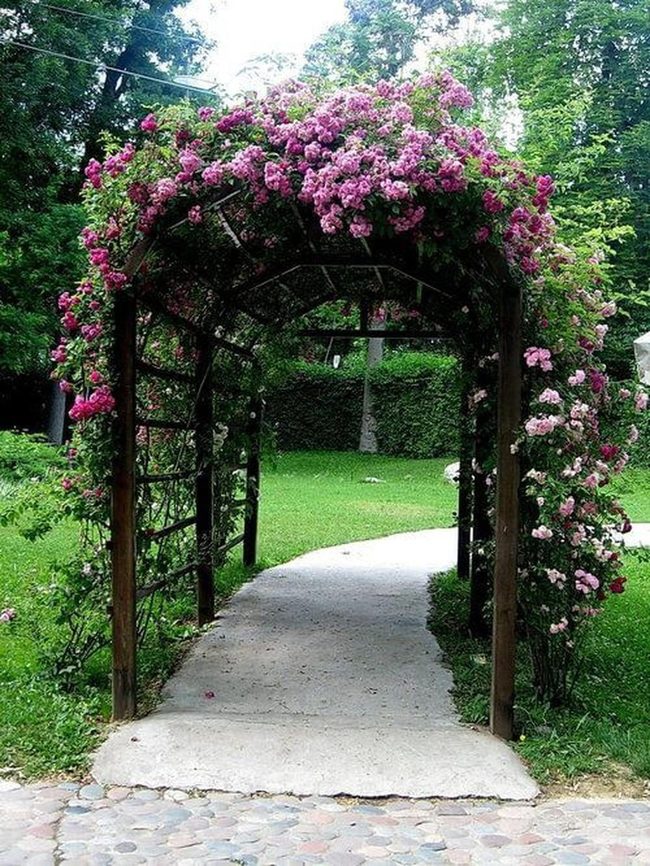 Pink Roses Cascade Wooden Arch