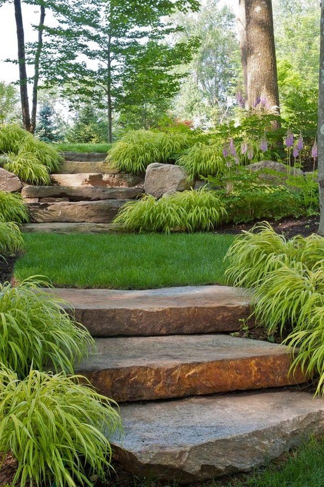 Purple Blooms Among Gray Stone Steps