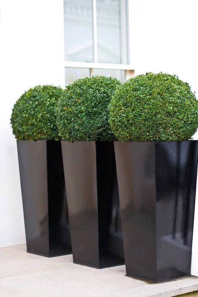 Black Pots Green Sphere Elegance
