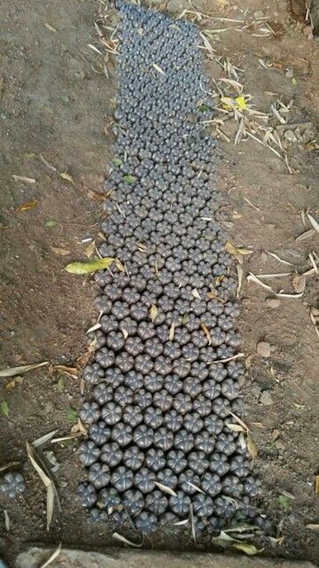 Natural Stone Garden Routes