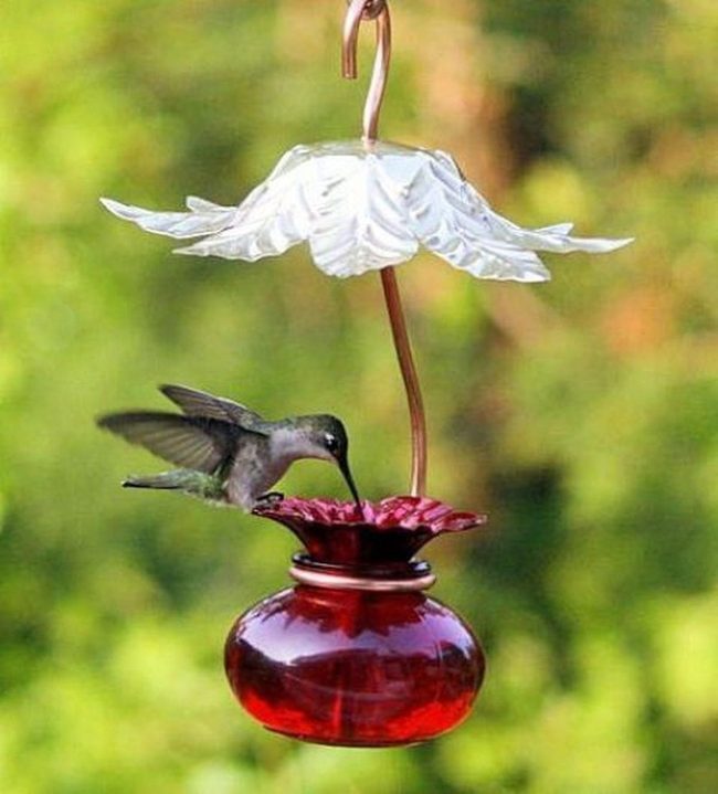 Red Glass Hummingbird Feeder Sparkle