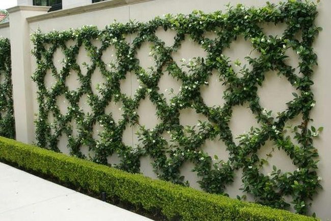 Living Green Wall Display