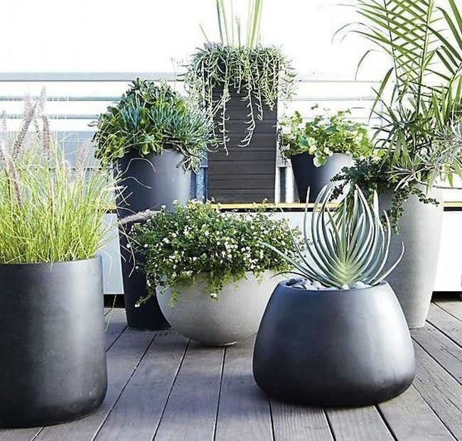 Layered Green With Black Containers