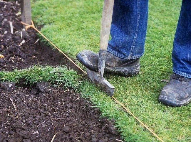 Sharp Borders Elevate Landscape Appeal