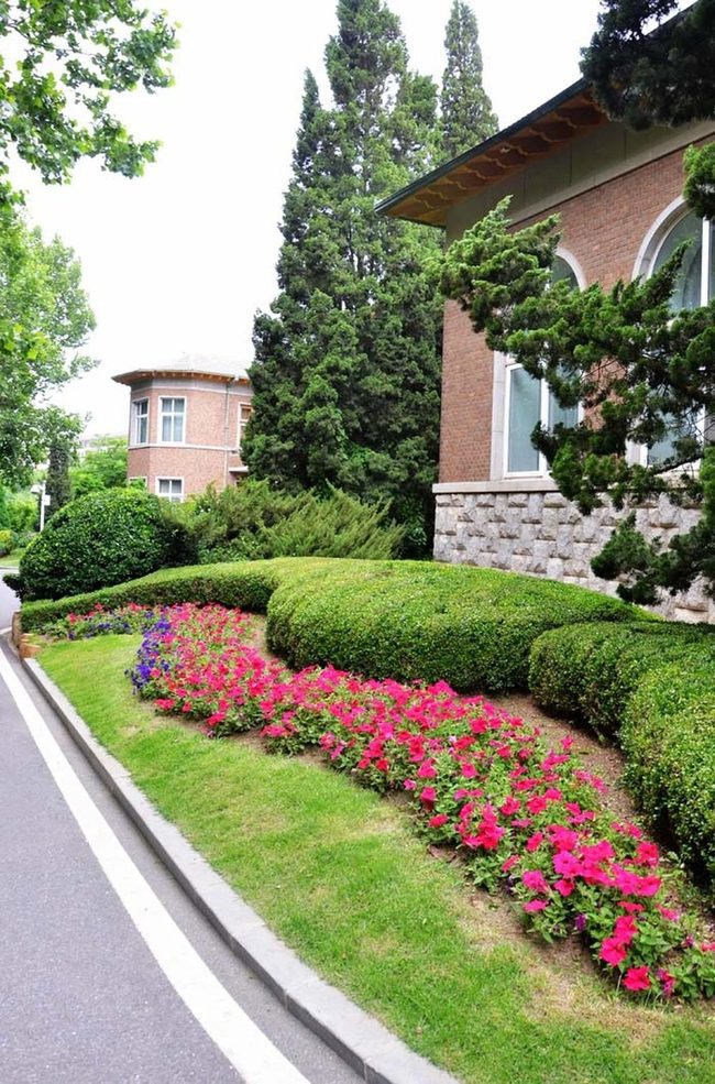 Concrete Edges, Layered Garden Depth