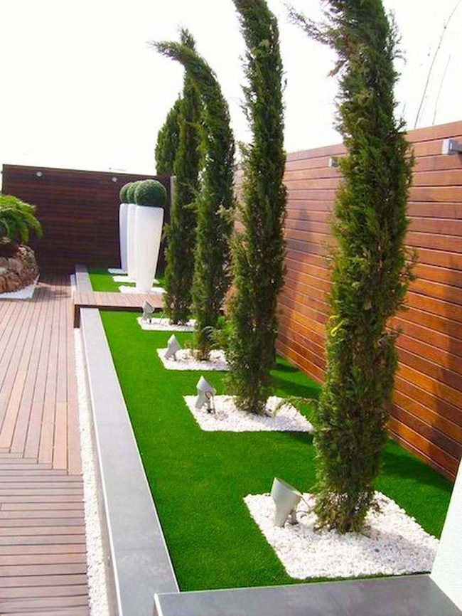 Geometric Topiaries Meet Warm Wood