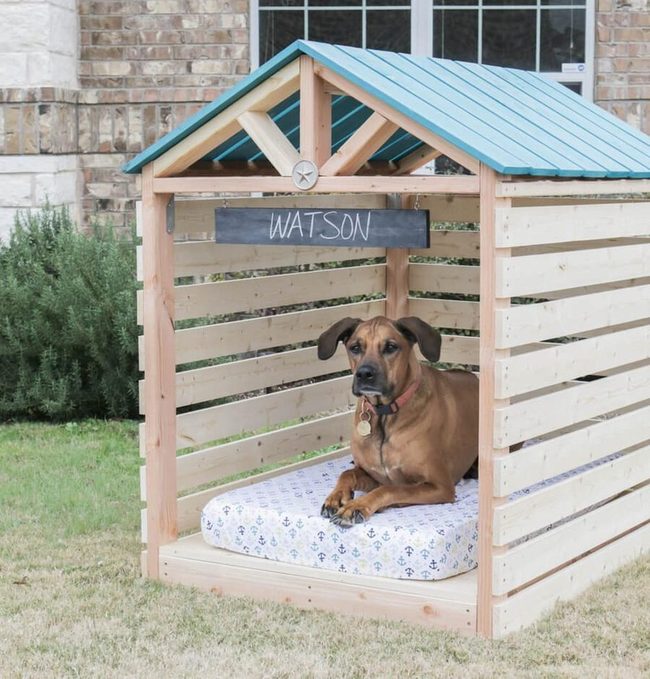 Spacious Gazebo Dog Retreat