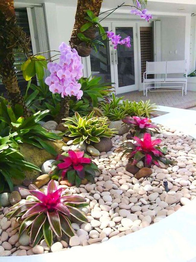 Pink Orchids On Light Pebbles