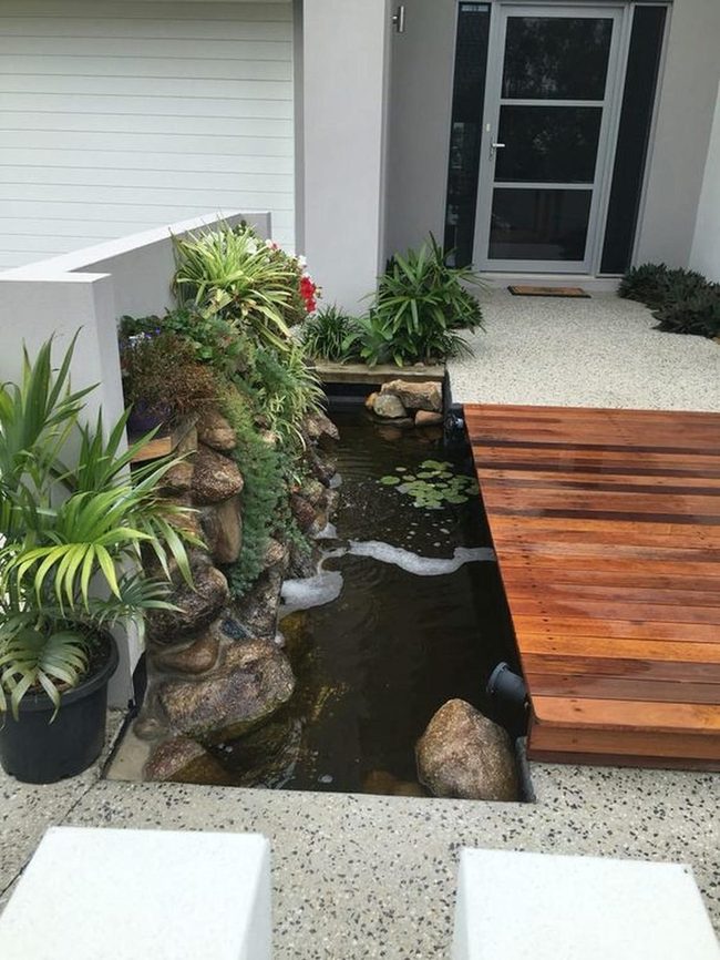 Lily Pond Meets Modern Concrete
