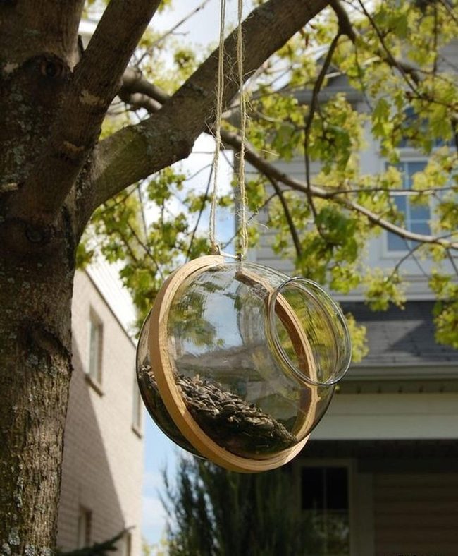 Clear Glass Bird Feeders, Wooden Trim