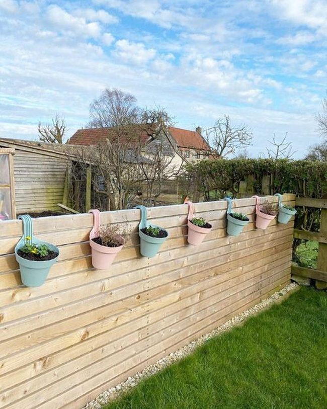 Hanging Herbs On Pallet Walls