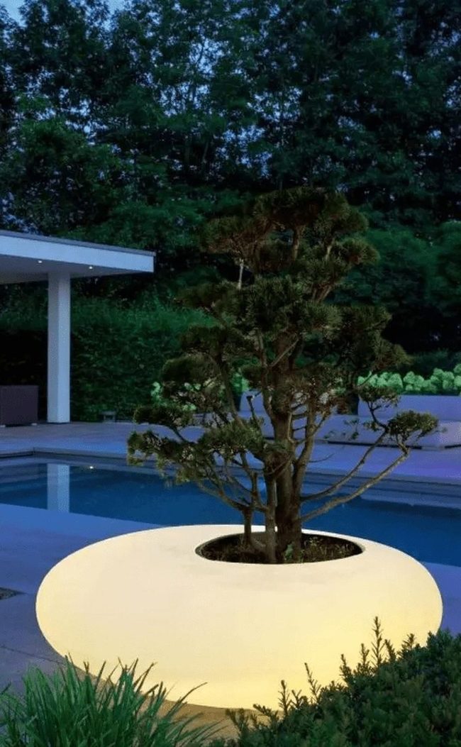 Green Oasis With Modern Concrete