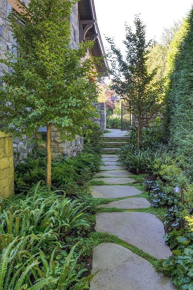 Stone Path Through Tall Green Trees