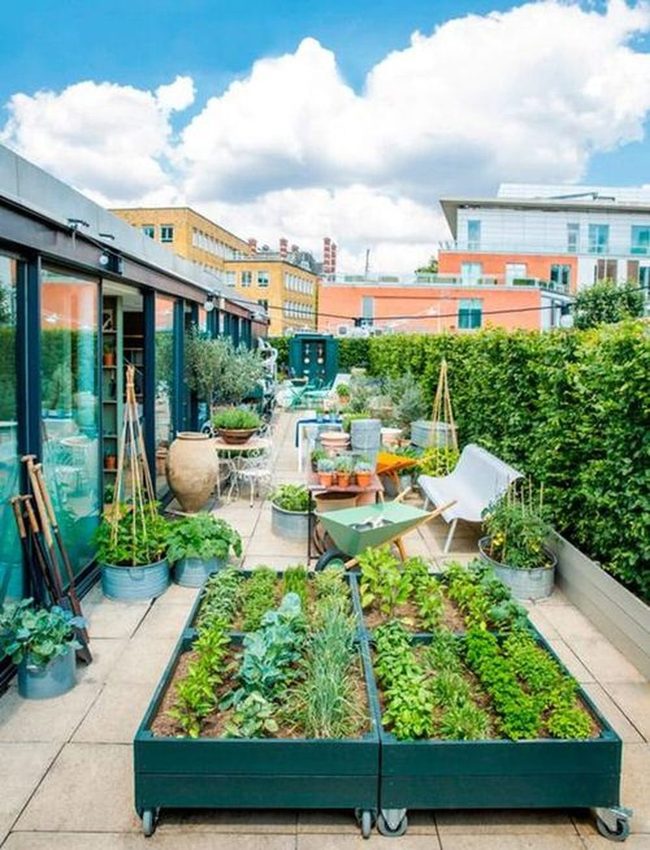 Elevated Urban Herb Garden