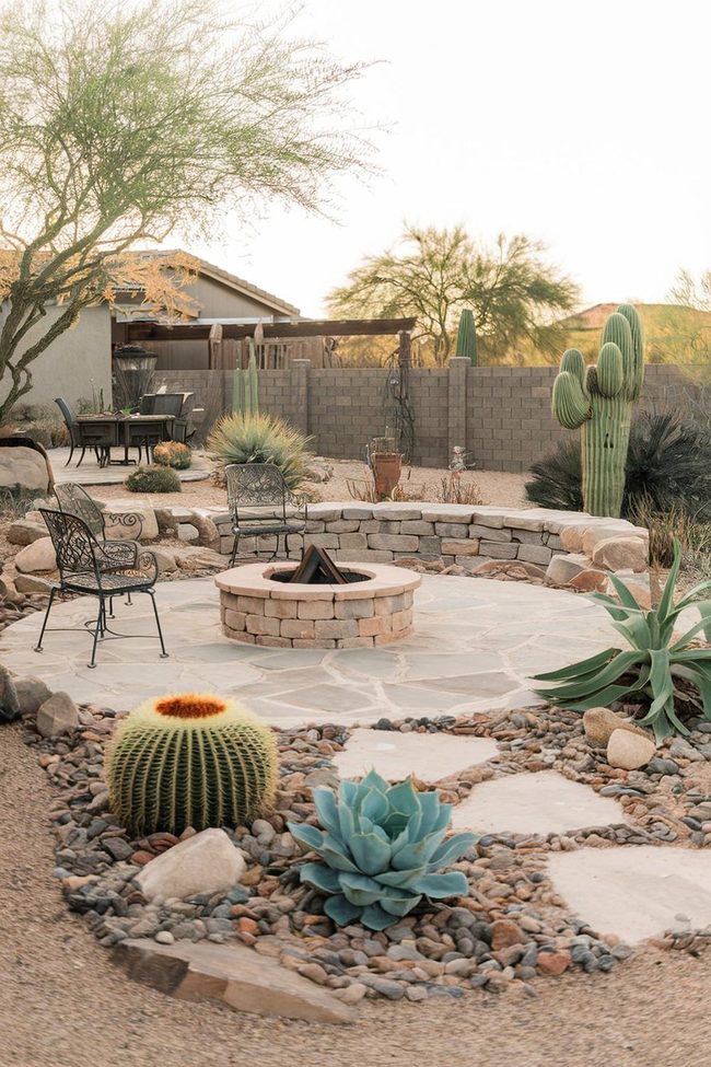 Low-Growing Succulents Save Water