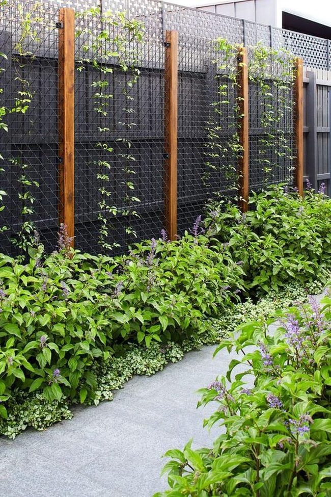 Vertical Green Walls Blooming Bright