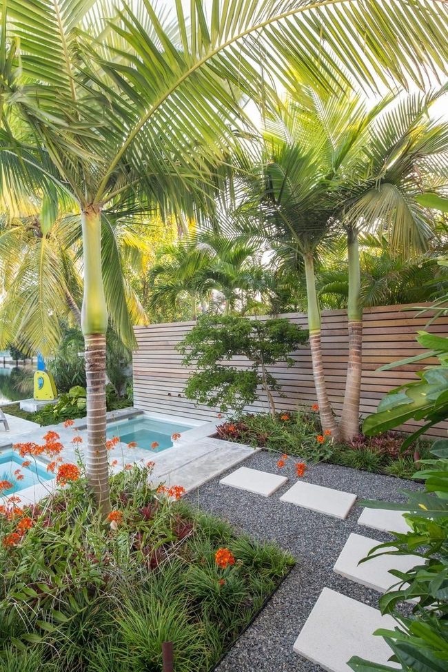 Tropical Pool Oasis With Lush Palms