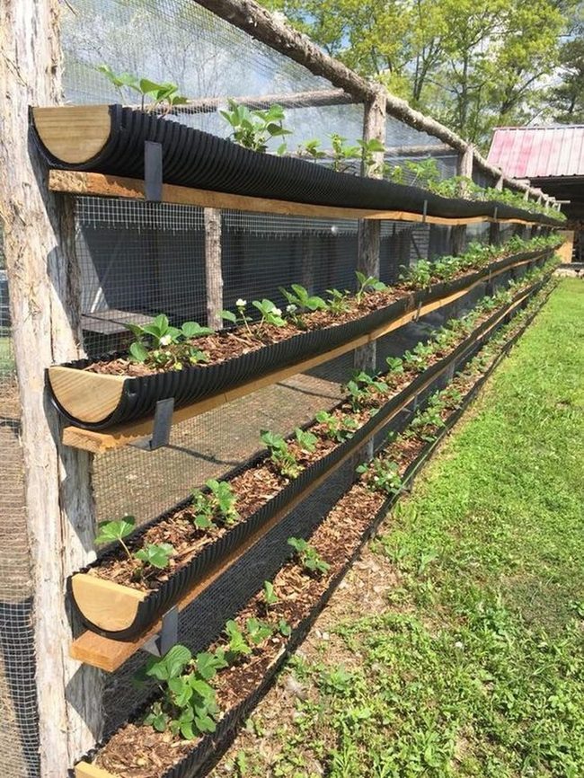 Black Containers, Green Vertical Growth