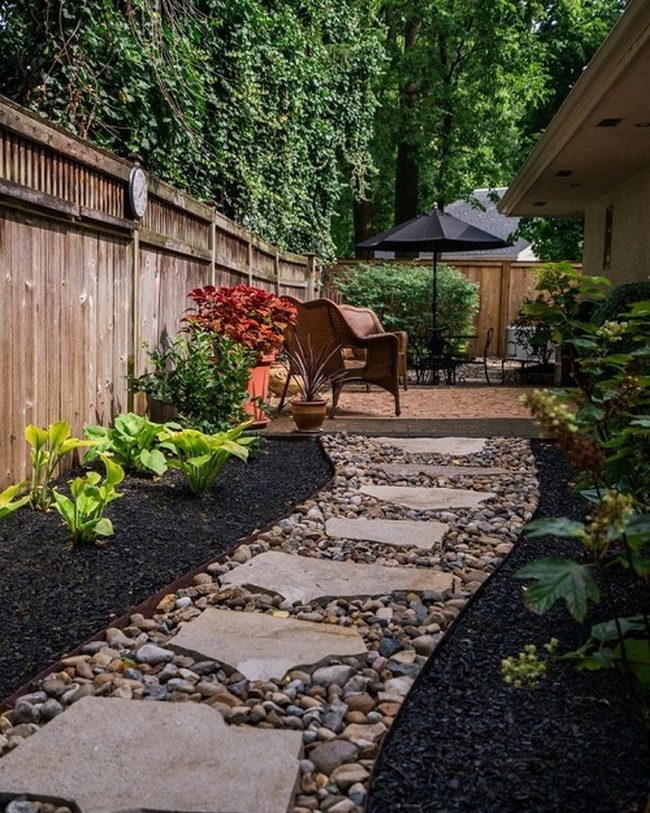 Vivid Plants Against Charcoal Stone