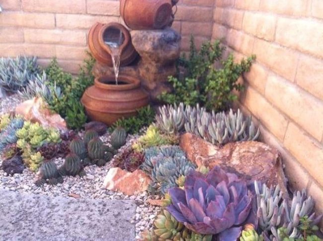 Purple Succulents Against White Stone
