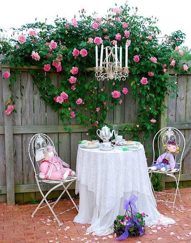 Pink Rose Petals And White Lace Table