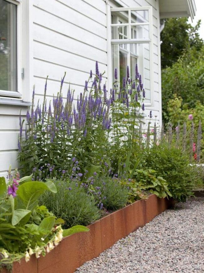 Lavender And Wildflower Cottage Garden