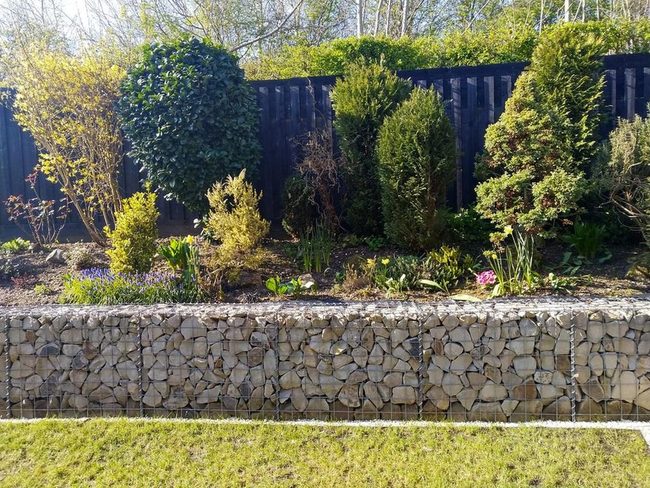 Stone Wire Garden Backdrop