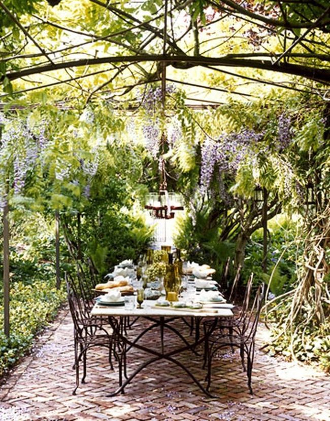 Dappled Light Through Living Vines