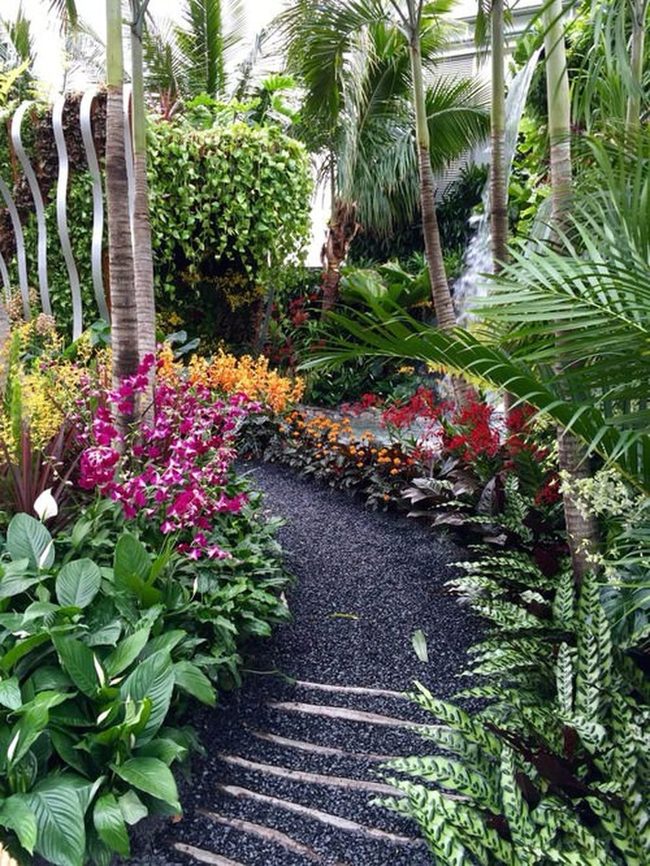 Curved Stone Path Through Tropical Green