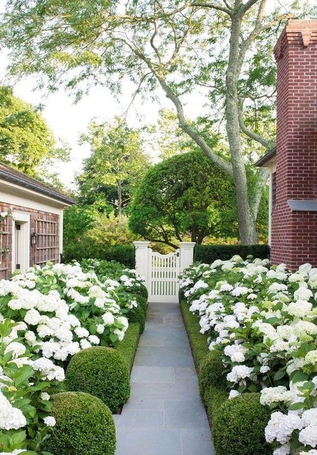 White Hydrangeas Line Stone Paths