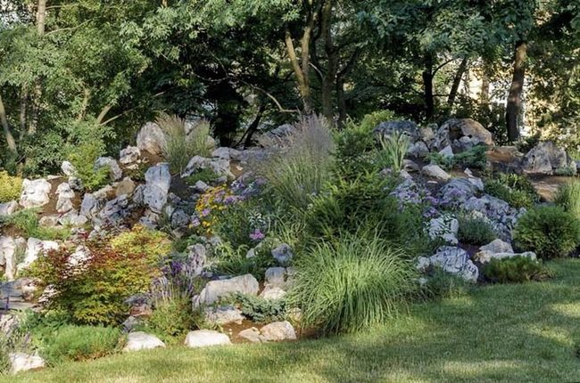 Ornamental Grass Meets Colorful Stone
