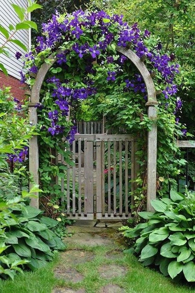 Ivy-Covered Gate, Nature'S Entrance