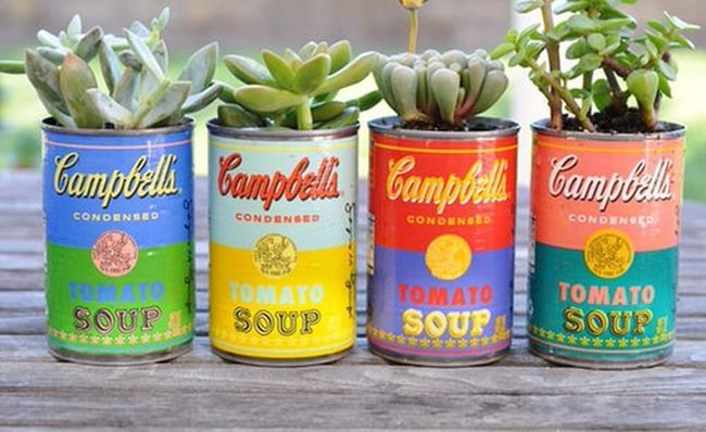 Metal Cans, Living Succulents