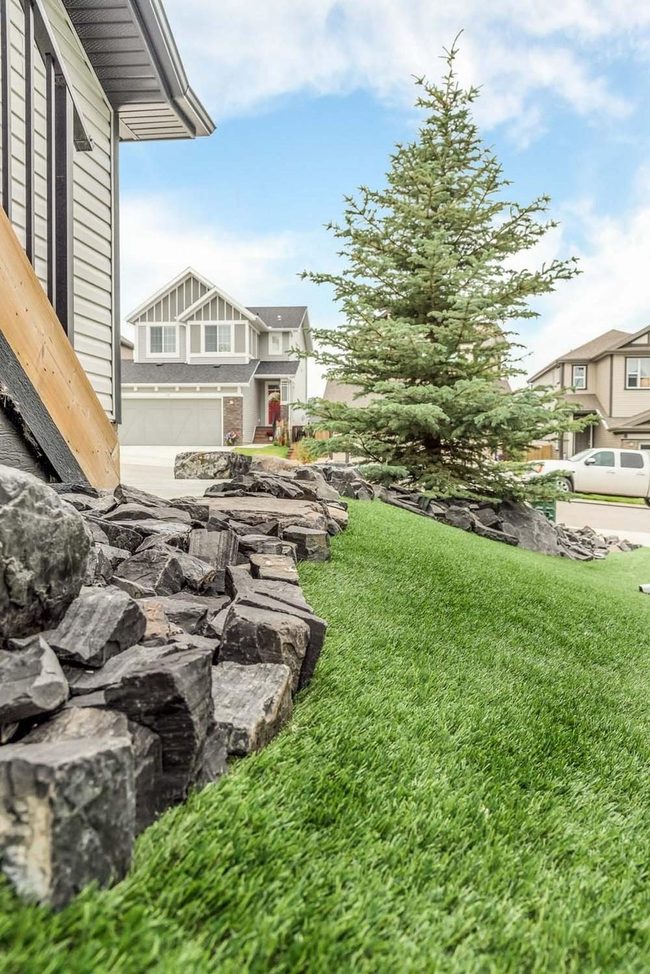 Dark Slate And Synthetic Green Yard