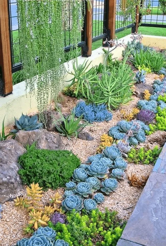 Green And Purple Succulent Garden