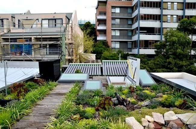 Solar Panels Above Urban Gardens